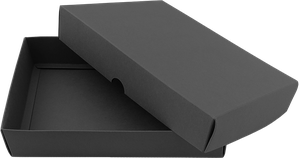 Schachtel (15,5x19x9 cm) 1252037